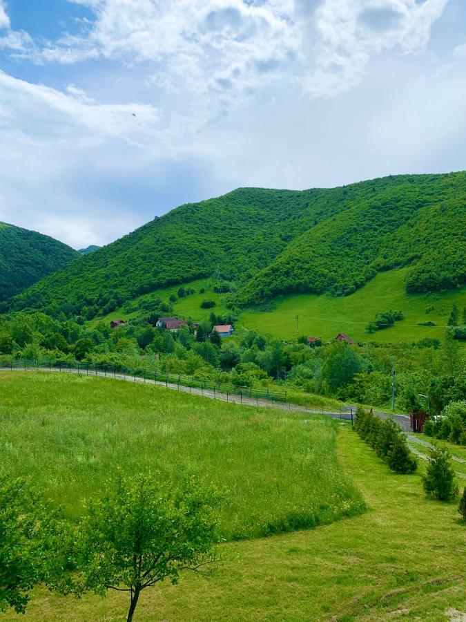 Rustic Cottage Sibiu Exterior photo